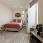 Solar Mendonca Hotel *